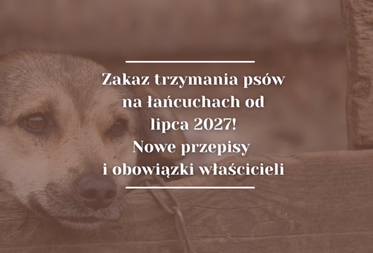 Zakaz trzymania psów na łańcuchach 2027: Nowe przepisy i obowiązki właścicieli